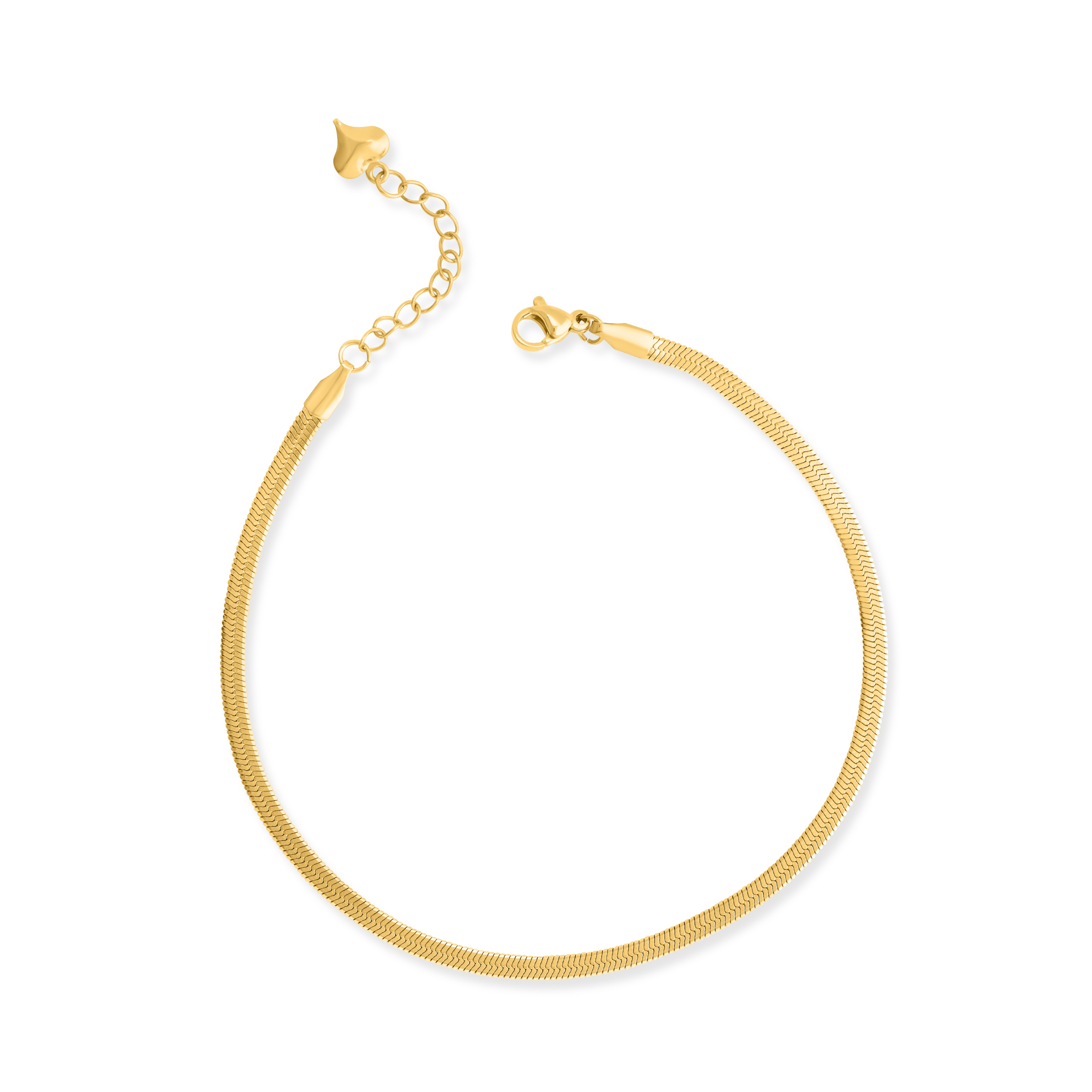 Becca Gold Snake Chain Anklet